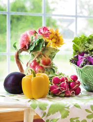 手机号群发平台